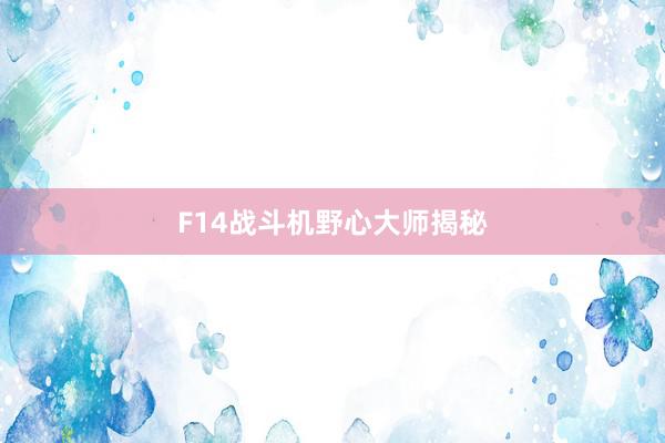 F14战斗机野心大师揭秘