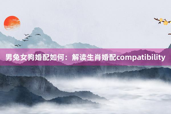 男兔女狗婚配如何：解读生肖婚配compatibility